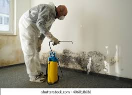 Wilmerding, PA Mold Remediation Company